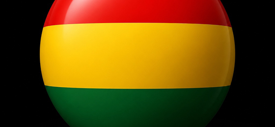 ASOCIACIÓN PLURINACIONAL BOLIVIANOS EN ALMERÍA